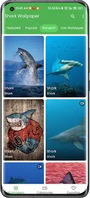 3D Shark in the Live Wallpaper android App screenshot 0