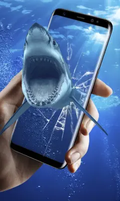 3D Shark in the Live Wallpaper android App screenshot 1