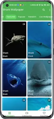 3D Shark in the Live Wallpaper android App screenshot 2