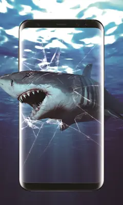 3D Shark in the Live Wallpaper android App screenshot 3