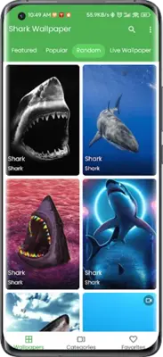 3D Shark in the Live Wallpaper android App screenshot 4