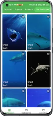 3D Shark in the Live Wallpaper android App screenshot 6